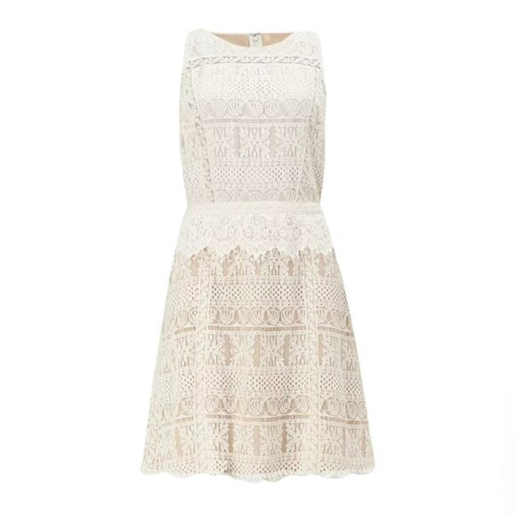 NWT Allsaints Melia Lace sleeveless mini Dress Size 6 in Oyster White - Picture 2 of 16
